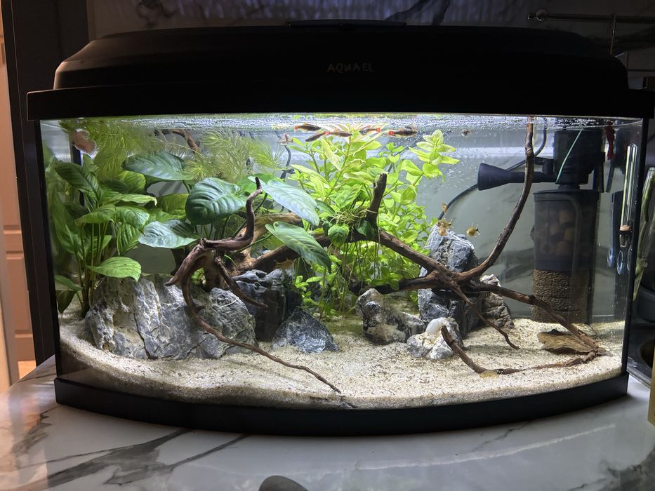 Аквариум Aquael 54 л.