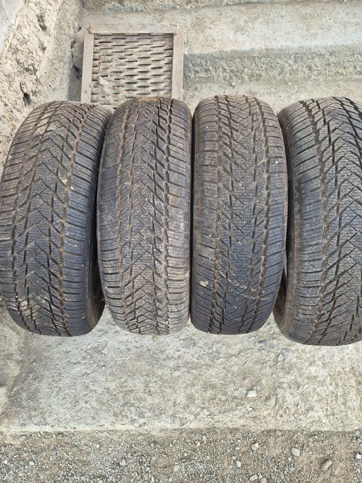 Қысқы дөгелектер