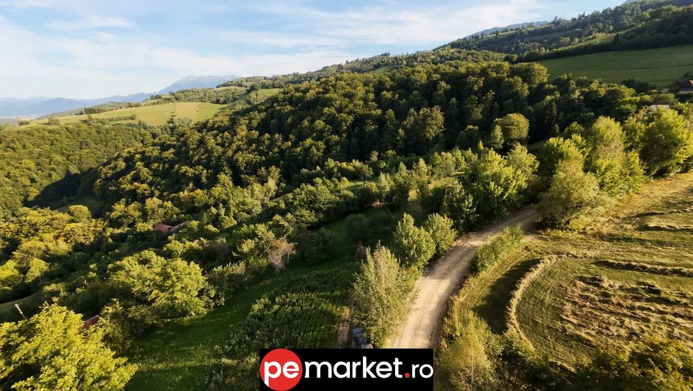 Teren de vânzare – Poiana Mărului, Brașov