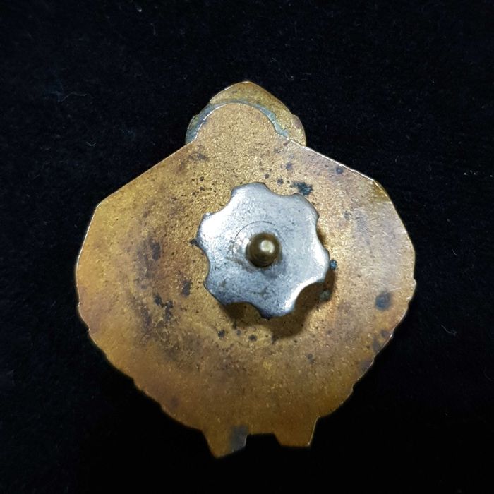 Lot insigne militare Republica Socialista Romania