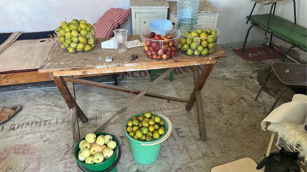 Продам дачу сад Здоровие