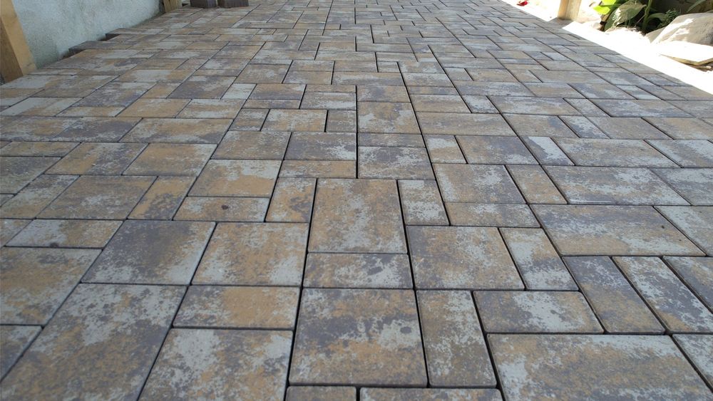 Pavele Borduti Montatori