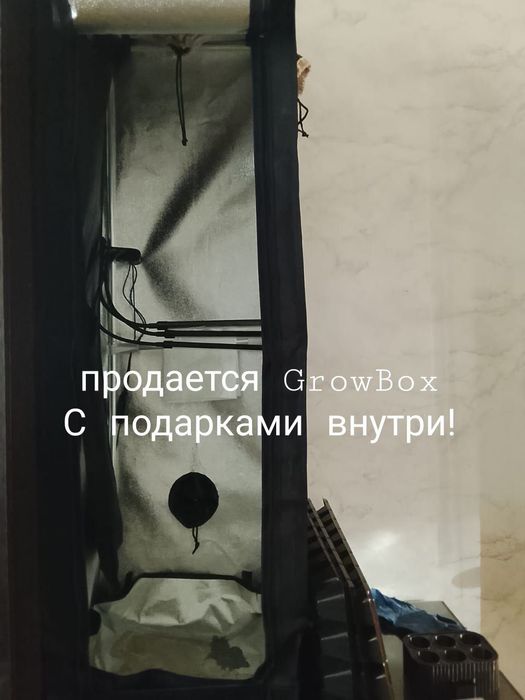 Продаётся Growbox с подарками внутри
