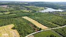 Gaminvest-Teren cu priveliste deosebita spre lac, Paleu, Bihor V4023