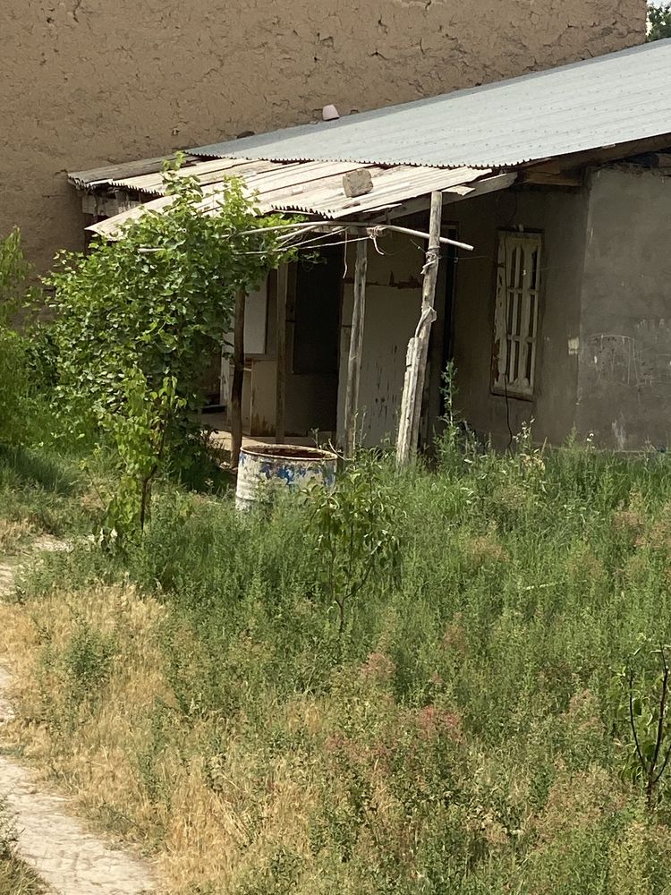 Nazarbeda 8 sotix hovli ijaraga oilaga beriladi