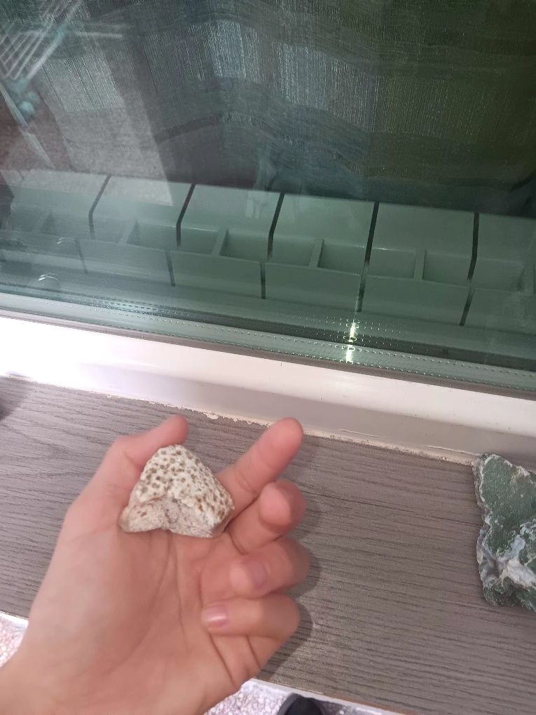 Бял Камък със оранжави дупки