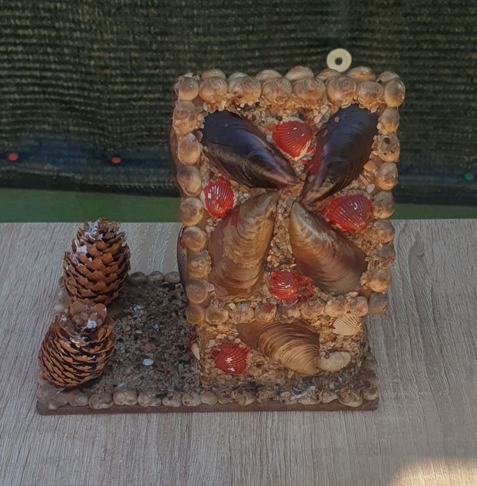 Cabana ornament scoici