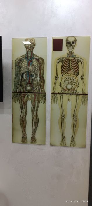 Интерьерная печать на Холсте, стекле, кафеле