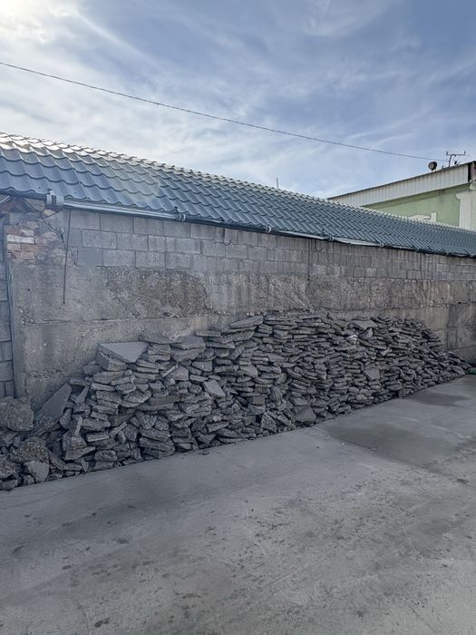 Блужник тегын Шымкент