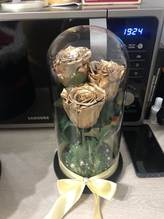 Trandafiri criogenat auriu 17-20-25 cm