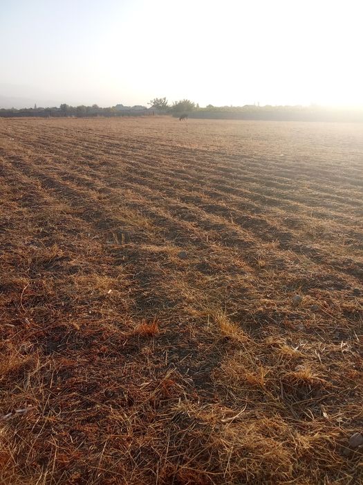 Yer sotiladi 60 sotix.