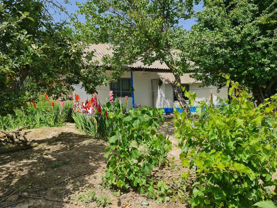 Delta Dunării, Băltenii de Jos, casă bătrânească, teren 1500mp