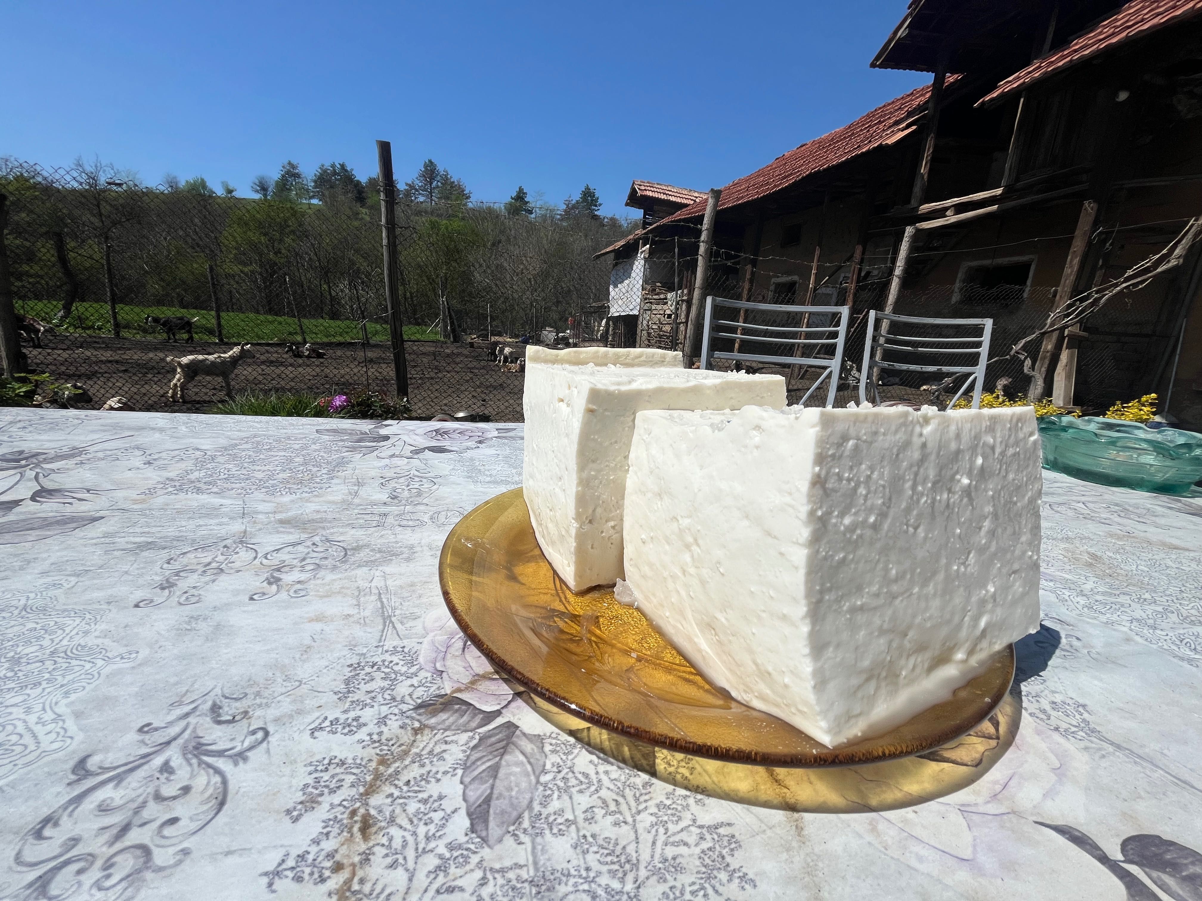 Домашно Козе Сирене