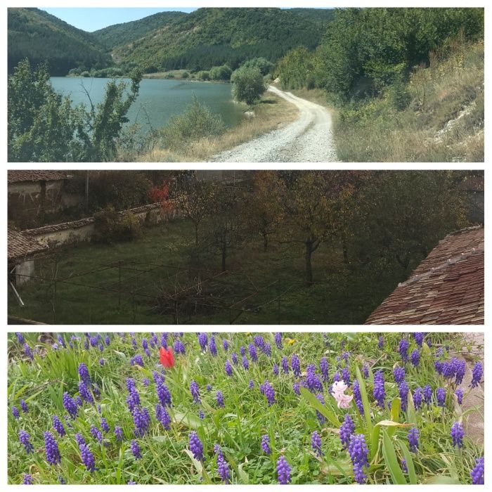 Изцяло реновирана къща за гости с 4 спални, 1.5 дка, 100 км от ВН