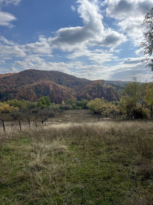 Teren de vanzare in  Albesti Ungureni, strada Valea Stupinii, 5000 mp