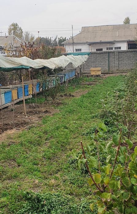 Toza tabiiy asal sifatiga ham garantiya