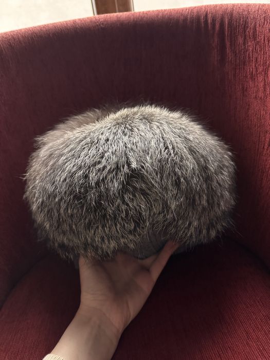 Caciula blana vulte polara 58