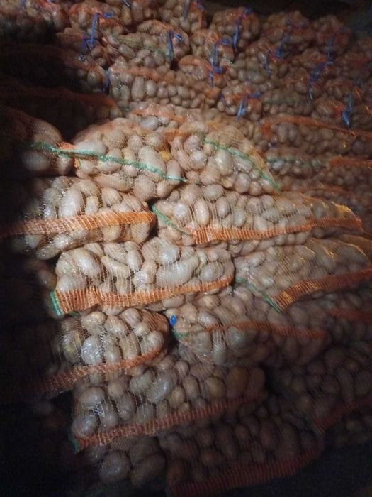 Cartofi alb rosu 50+