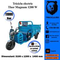 Tricicleta electrica NOUA Thor MAGNUM motor 1200W Agramix