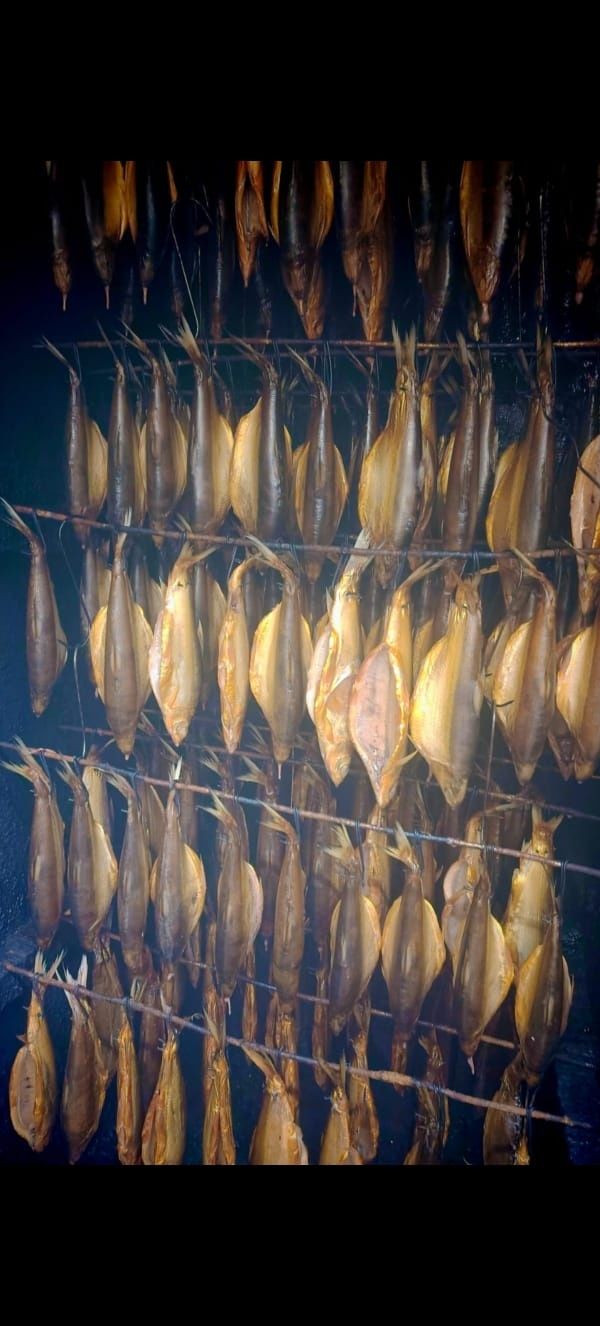 Продам пелядь горячего копчения