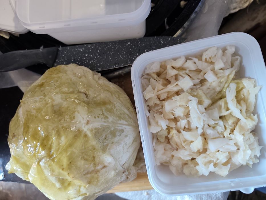 Кисело зеле Кьосе