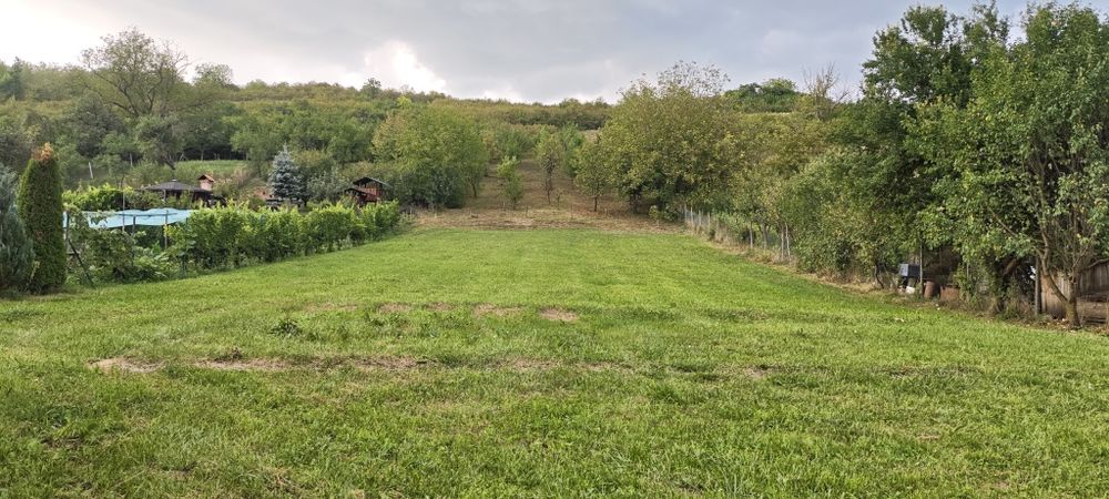 Teren intravilan, 2160m², Poienița, Livezeni, Mureș