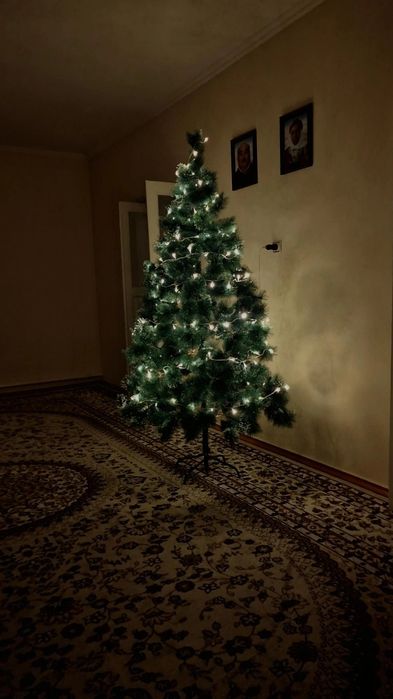 Елка в отличном состоянии