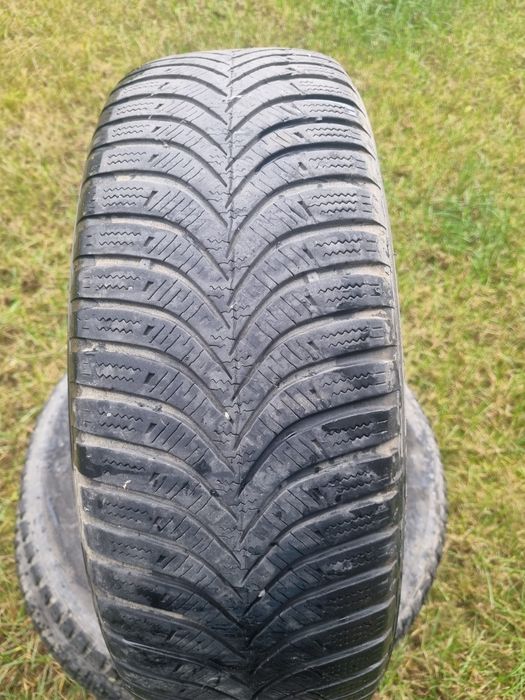 Anveope Iarna Kankook 195/65/15