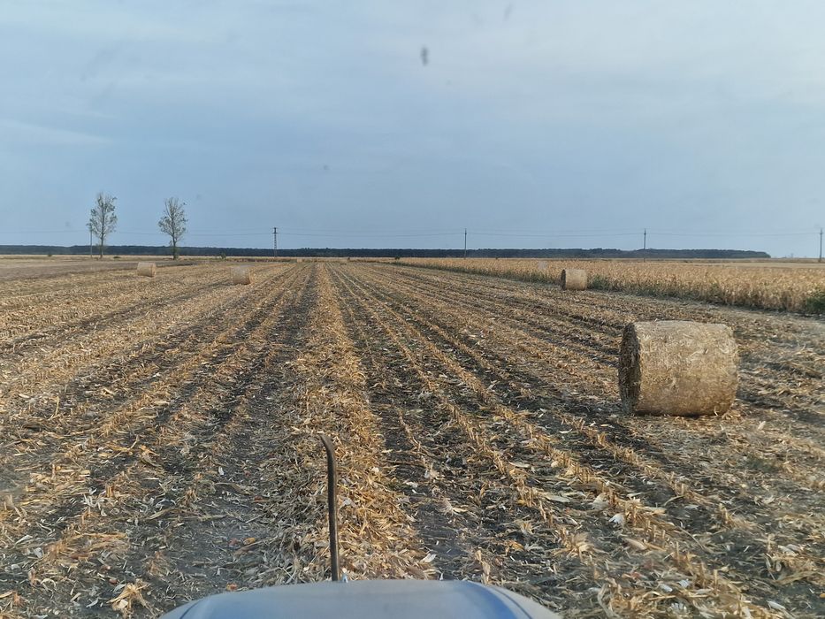 Baloti coceni de 1,2×1,2