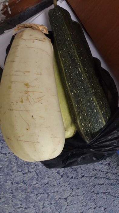 Продам кабочки район пирамиды