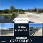 FERMA PISCICOLĂ ~ Salcioara ~ Dâmbovița