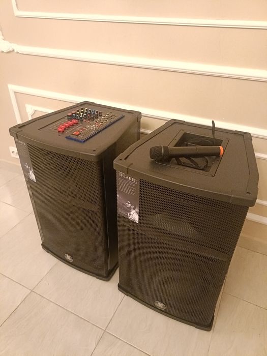 Boxe active Profesionale Eghe/Vlliodor/NRS/JBL 800W bluetooth + 2 mic