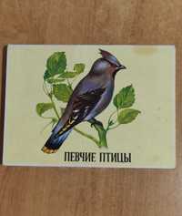 Коллекционный сувенирный набор спичек "Певчие птицы"