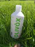 Olivox cu frunze de maslin