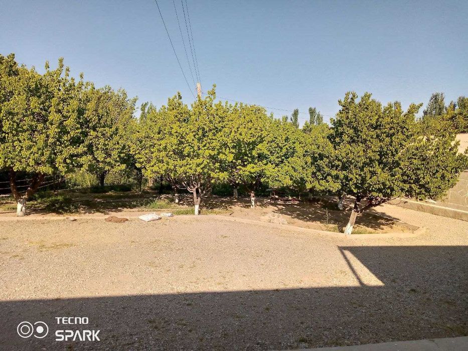 Кушработ туман Юкори Жуш МФЙ холи жой