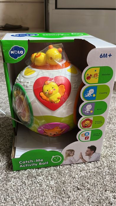 Minge interactivă Hola