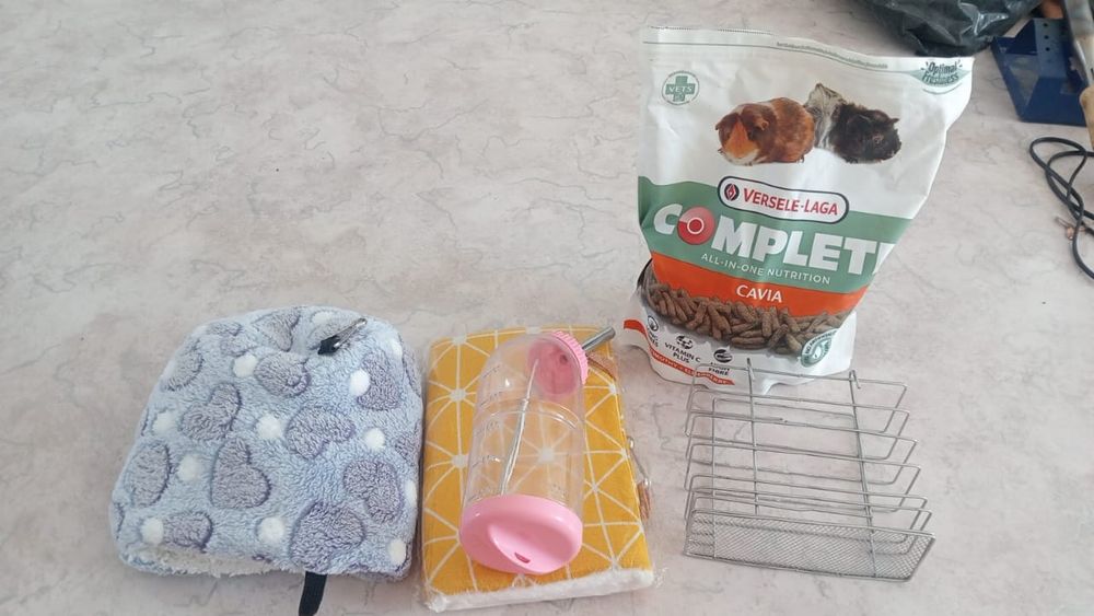 Все для морских свинок