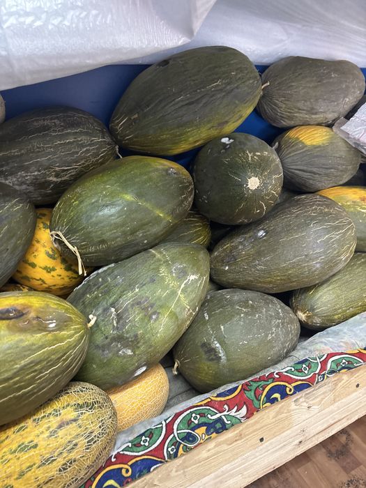 Ассалаумағалейкум ағайындар. Бордақы ұстап отырған адамдарға.