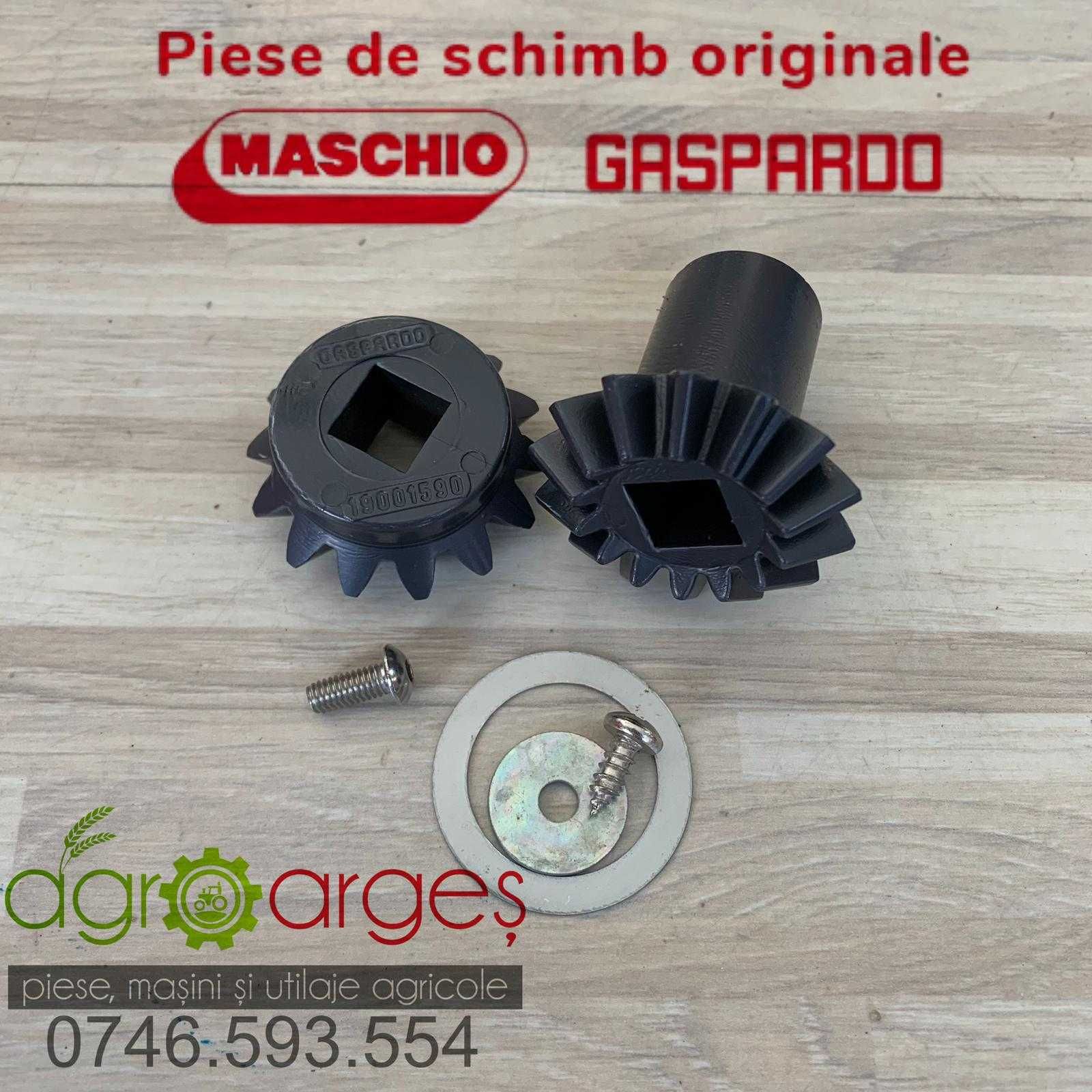 Set Pinioane G20890211R GASPARDO