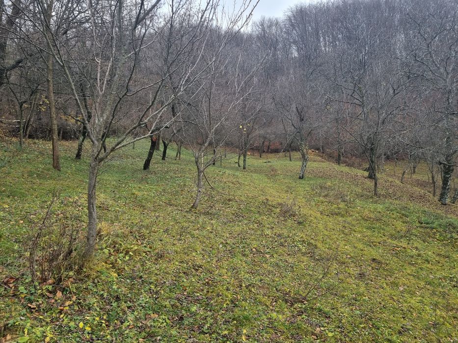 Vand teren pretabil A Frame / panoramic view