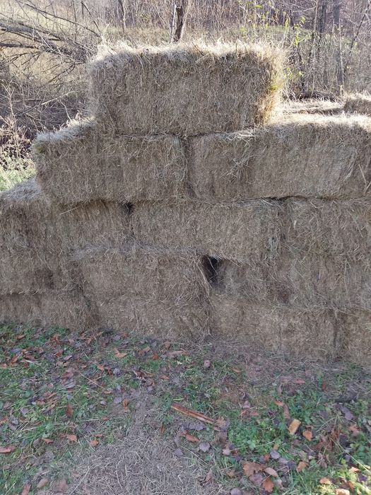 Vand baloti fân de gradina