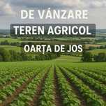 Vand 1.5 hectare teren agricol in Oarta de Jos