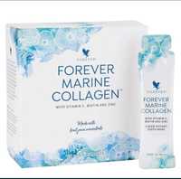 Collagen  Marine