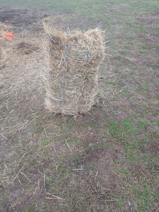 Vând lucernă cu fân