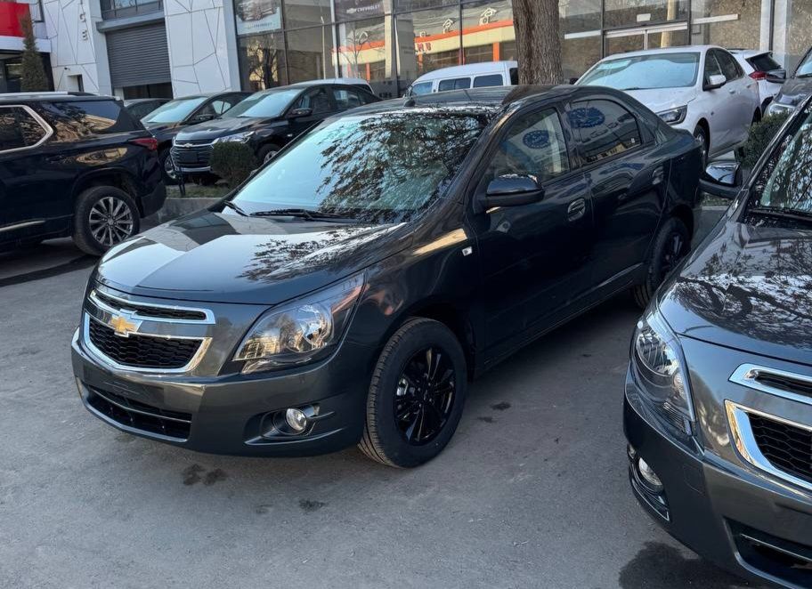 Cobalt midnight Natarius tekin  mokri GK2 yengi 25