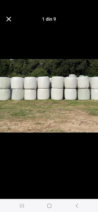 Vând baloti infoliati