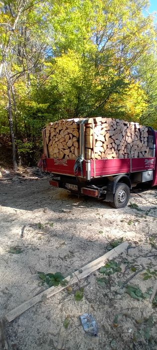 Lemne de foc esență tare Fag
