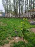 Срочно продам земля в хорошим месте