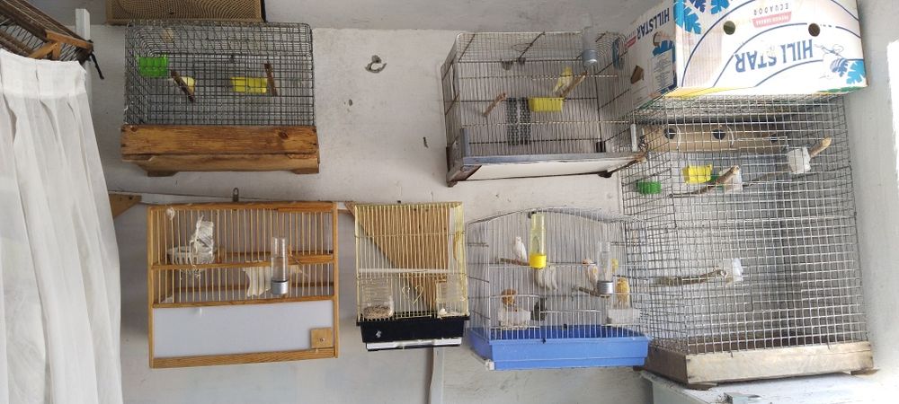 Клеткалар оптомга сотилади