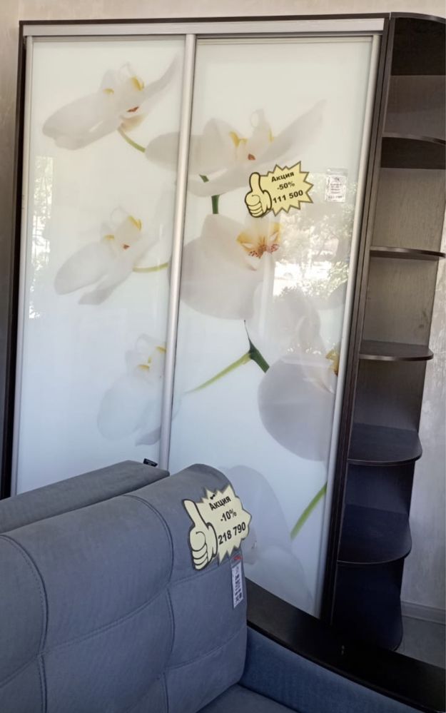 Шкаф купе Орхидея